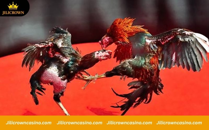 WS168 - Official Registration with 100K Code Giveaway 6 Well-known ways to bet on matches