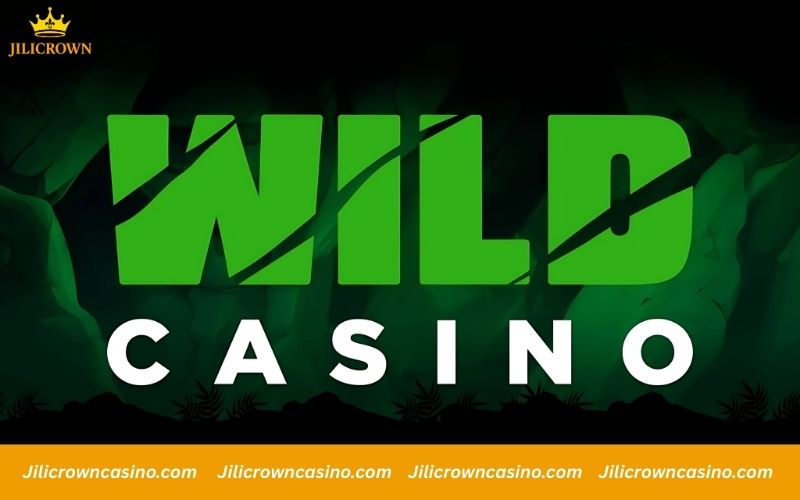 Top 10 Real Money Online Casinos for Safe & Easy Wins 10 Wild Casino fast crypto payouts for real money play