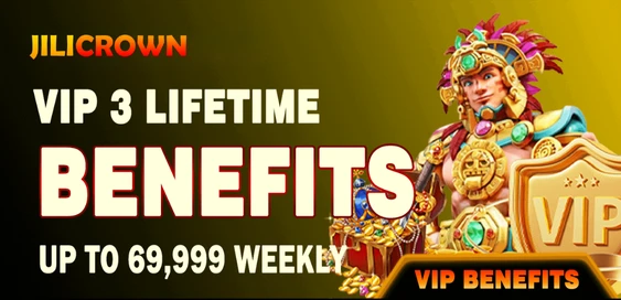 VIP PRIVILEGES